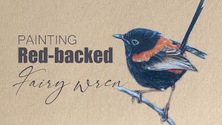 Redbacked Fairy wren  Coloured Pencils Drawing  By Rajan Singh 🐦 [upl. by Liuka]