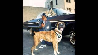 Method Man  We Some Dogs feat Redman amp Snoop Dogg [upl. by Eceirehs]