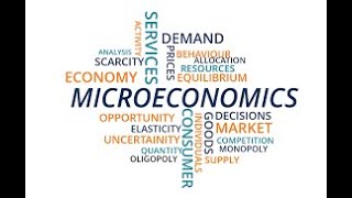 Microeconomics II  Week 63 Existence of Walrasian Equilibrium [upl. by Arelus]