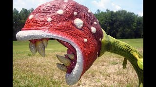 मांस खाने वाले पेड़ पौधे  Most Amazing Carnivorous Plants in the world [upl. by Artus]