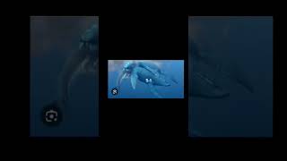 Otodus Angustidens vs Predator X otodus pliosaurus shortvideo shorts sharks prehistoric [upl. by Zined595]