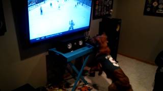 Sports loving dog watching Wild hockey [upl. by Alokin]