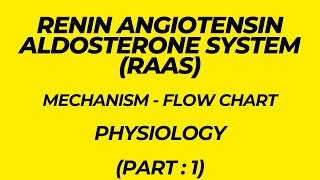 Renin Angiotensin Aldosterone System RAAS Mechanism  Flow chart Physiology Part 1 [upl. by Furgeson]