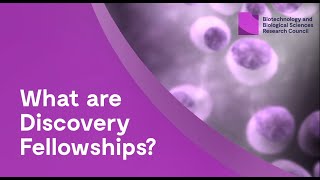 What are BBSRC Discovery Fellowships [upl. by Efal]