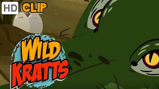 Wild Kratts  Operation Crocodile Nest [upl. by Poll]