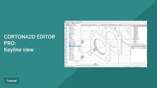 Cortona2D Editor Pro Tutorial Keyline view [upl. by Arutnev]