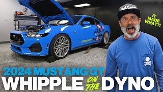 IT MADE WHAT Whipple Supercharged 2024 Mustang GT on the dyno [upl. by Ireg]