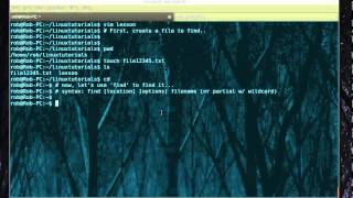 Find files in Linux [upl. by Acinoed685]