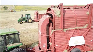 Stacking Hay with the Hesston 30B  Dagley Ranch Life  Episode 2 [upl. by Mackler]