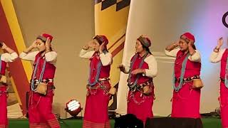 Tagin Folk Dance on eve of Folk Music and Dance Festival Namsai 2024 [upl. by Ykcim]