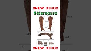 New Dino Sidersaura [upl. by Cordie]