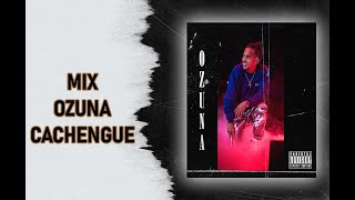 Mix Ozuna Cachengue By Rugal [upl. by Lowell]