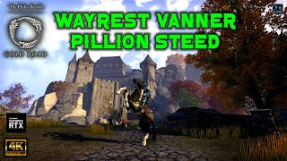 ESO  Wayrest Vanner Pillion Steed  Free Multirider Mount [upl. by Adnohsel]