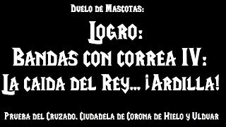 Logros 8 Bandas con correa IV La caída del Rey ¡Ardilla [upl. by Enyallij]