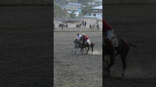 POLOMATCH  Freestyle polo Match Chitral  part 26 horse horsesports arbian youtubeshorts love [upl. by Vickie]