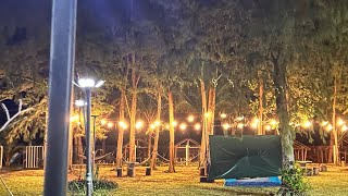 Pinewoods Campsite amp Beach resort [upl. by Ansilma]