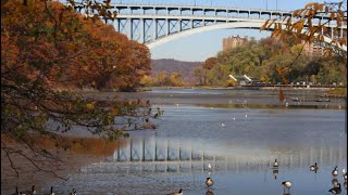 Inwood Hill Park [upl. by Abell]