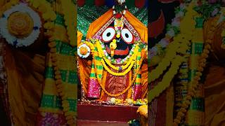 Todays Darshan 221124 Jai jagannath jagannathprabhu prabhujagannath bhajan [upl. by Nodnar733]