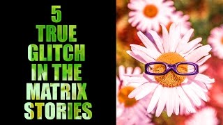 5 TRUE GLITCH IN THE MATRIX STORIES [upl. by Dixil]