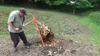 Pulling up a Large Old Stump with a Farm Jack [upl. by Bili]