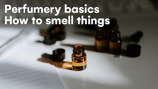 How to smell like a perfumer [upl. by Hodgson]