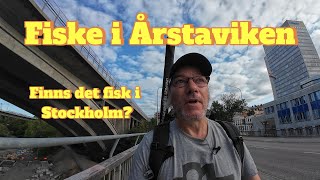 Testar fisket i Årstaviken Finns det någon fisk i Stockholm [upl. by Annaihs145]