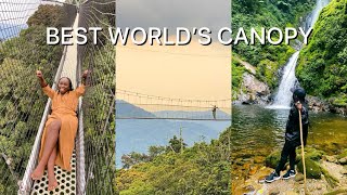 INSIDE THE WORLDS BEST CANOPY WALK  NYUNGWE NATIONAL PARK [upl. by Karim26]