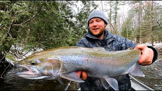 Exciting River Steelhead Fishing Cooking amp Hot Tent Camping [upl. by Bills]