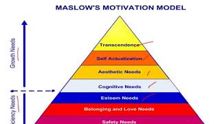 Maslows Hierarchy of Needs Theory [upl. by Segroeg774]