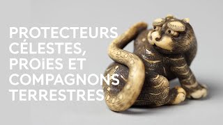 Les félins en Asie orientale  mythes folklore et réalités  Humains amp félins [upl. by Wise]