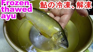 Frozenthawed ayu鮎の冷凍、解凍、美味しい焼き方６point [upl. by Oisinoid]