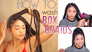 How To Wash Box Braids NO FRIZZ  Drying Hacks  jasmeannnn [upl. by Auqemahs17]