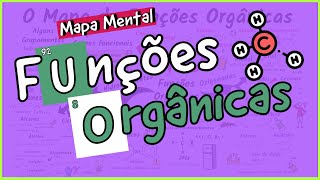 Funções Orgânicas Hidrocarbonetos Haletos Oxigenadas e Nitrogenadas Mapa Mental COMPLETO [upl. by Fillander]