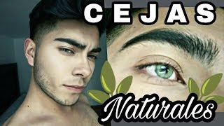 Cejas Pobladas y Naturales 😍🌿Crecer las Cejas 😵 [upl. by Ainalem265]