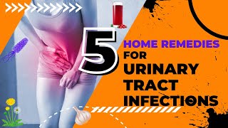 5 Home Remedies for Urinary Tract Infections  UTI Home Remedies  UTIs [upl. by Mahau]