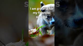 Rewire for Wealth  Abundance Affirmations That Work [upl. by Hillinck274]