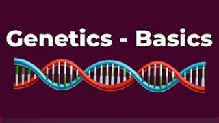 Developmental Psychology  BASICS OF GENETICS  Introduction to Genetics  DNA RNA Genes [upl. by Annoet352]