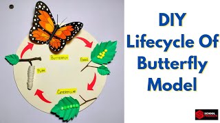 Lifecycle Of Butterfly Model For School ProjectLifecycle Of Butterfly 3D Model For Science Project [upl. by Nosirb]