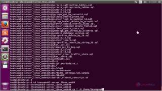 How to Install Teamspeak Server in Ubuntu [upl. by Carbo77]