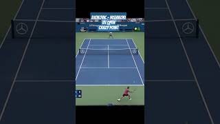 Djokovic  Nishikori Us Open Crazy Point [upl. by Novyad]