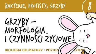 Grzyby  morfologia i czynności życiowe  Bakterie grzyby protisty 8  matura z biologii liceum [upl. by Hauhsoj337]