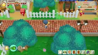 STORY OF SEASONS Friends of Mineral Town Masih Miriplah [upl. by Babara244]