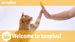 Welcome to the zooplus YouTube Channel [upl. by Rox]