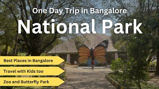 Best Places in Bangalore  Bannerghatta National Park Zoo and Butterfly Park  Travel vlog [upl. by Naesal]