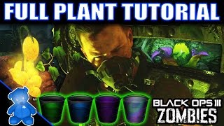 Zetsubou No Shima ULTIMATE PLANT TUTORIAL  BLACK OPS 3 ZOMBIES Full Guide [upl. by Tedd]