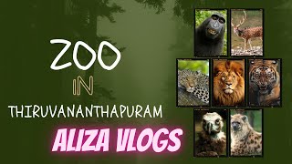 Trivandrum Zoo  Aliza Vlogs  Thiruvananthapuram kerala IN  🙉🦒🦁🐒🐍zoo kerala [upl. by Wind]