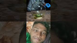 hydrochloric acid experiment experiment science crazyxyz foryou [upl. by Dowd]