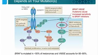 Precision Molecular Profiling of Cancer Using Droplet Digital™ PCR [upl. by Epilihp]