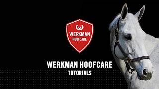 Werkman Hoofcare  Tutorial  Joop Wijnen  Werkman Hoof Grinder [upl. by Drugi812]