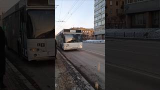 МАЗ 103 маршрут 63 ПАЗ маршрут 90 г Красноярск автобус bus [upl. by Elsbeth]